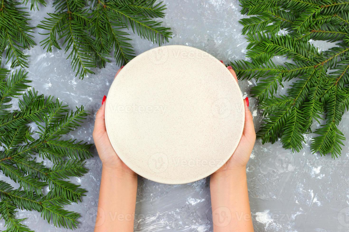female hands holding an empty white plate on a gray background with Christmas branches. view from above for your design photo
