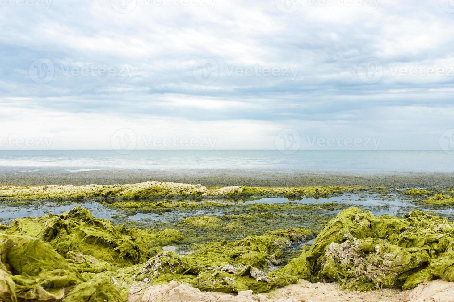rocas con algas en un día lluvioso de surf, cielo gris nublado. concepto de ecología y desastres naturales foto