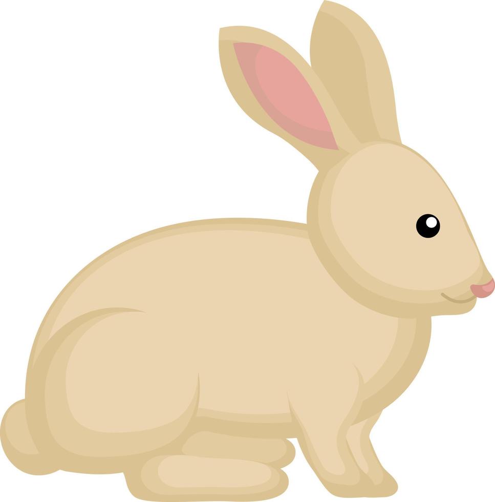 Cute bunny, illustration, vector on white background