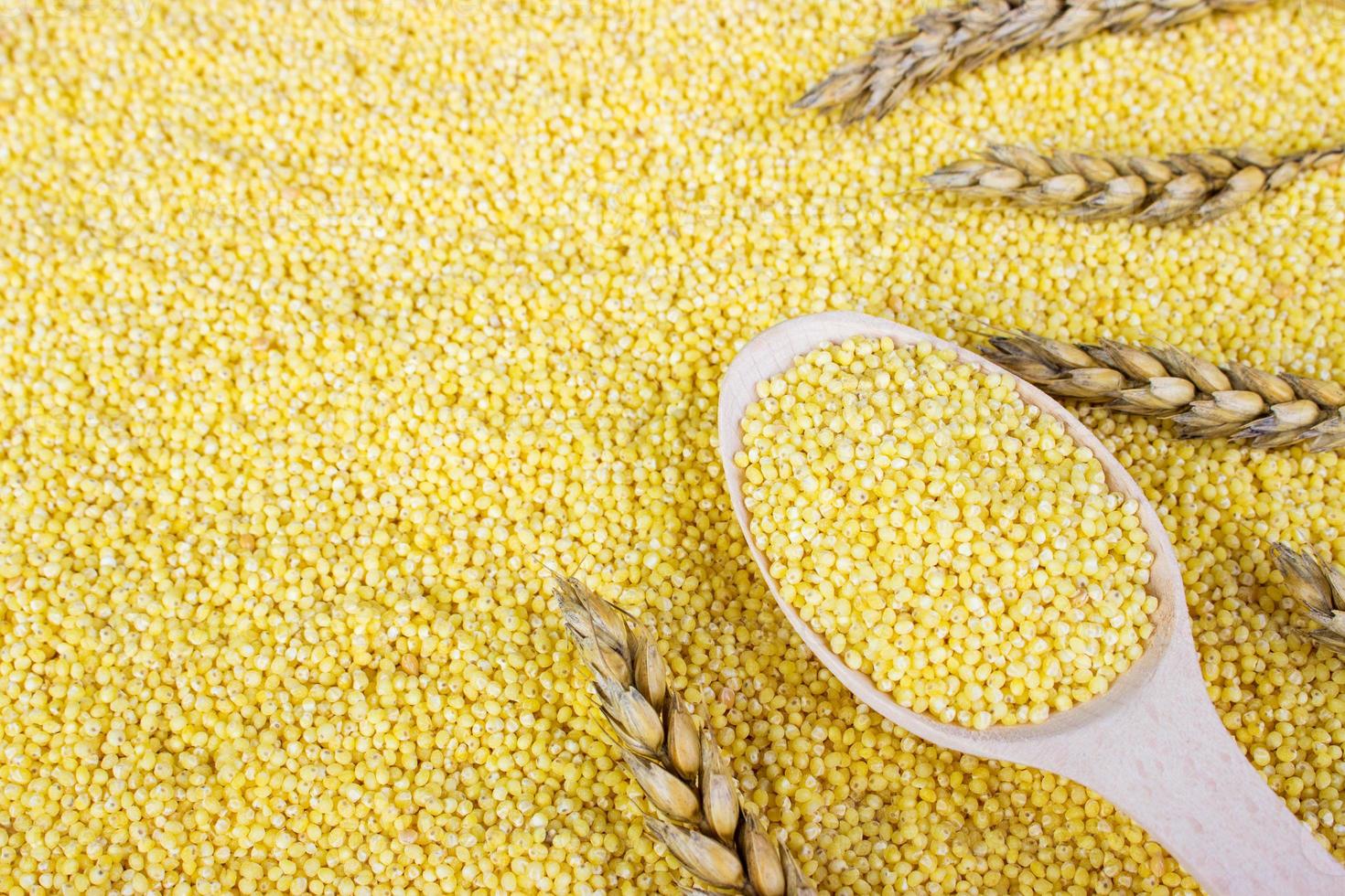 millet grain with wheat. Millet seeds in a wooden spoon on spoon