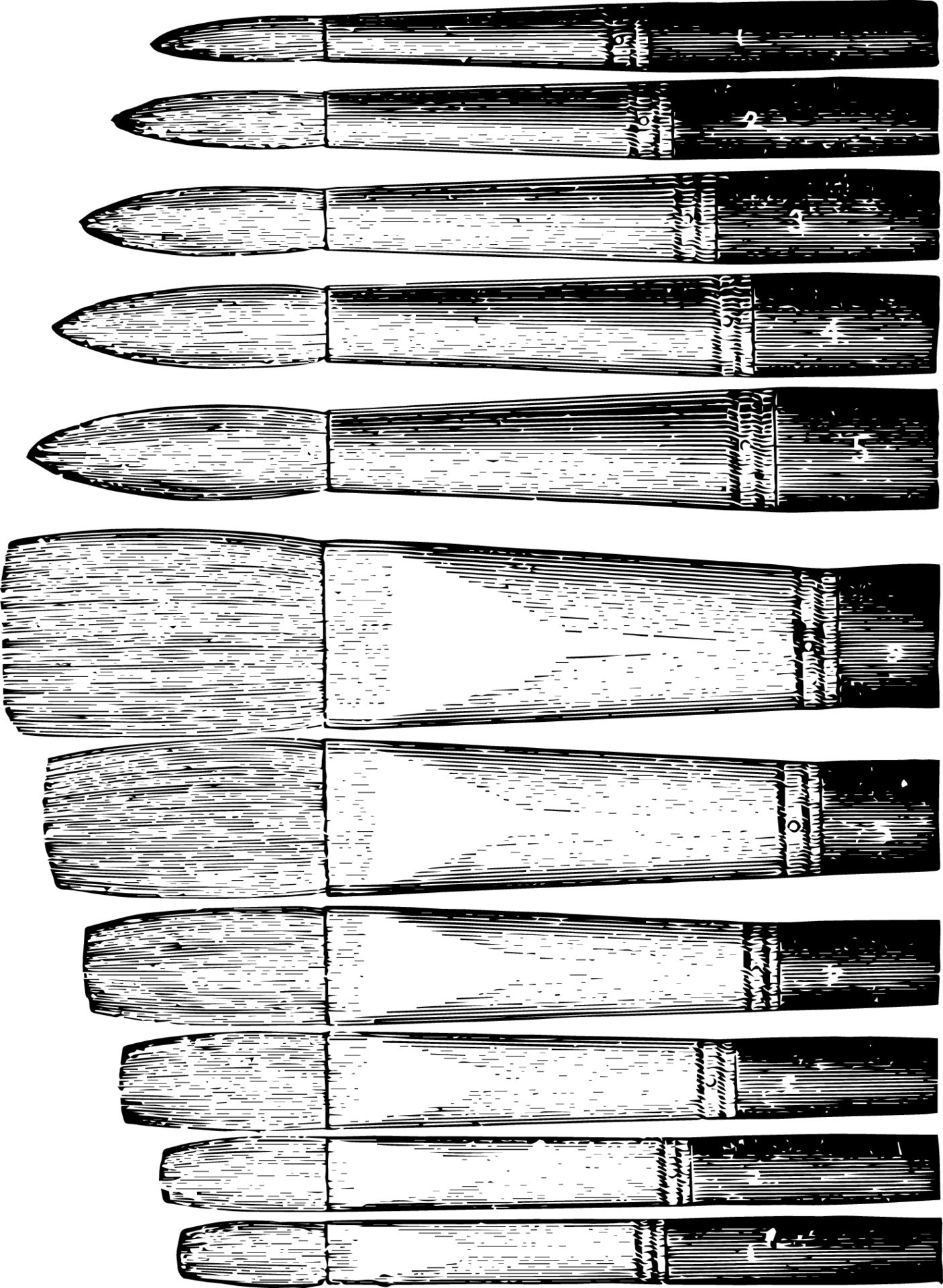 Artist Bristle Brushes are flat brushes vintage engraving. 13768192