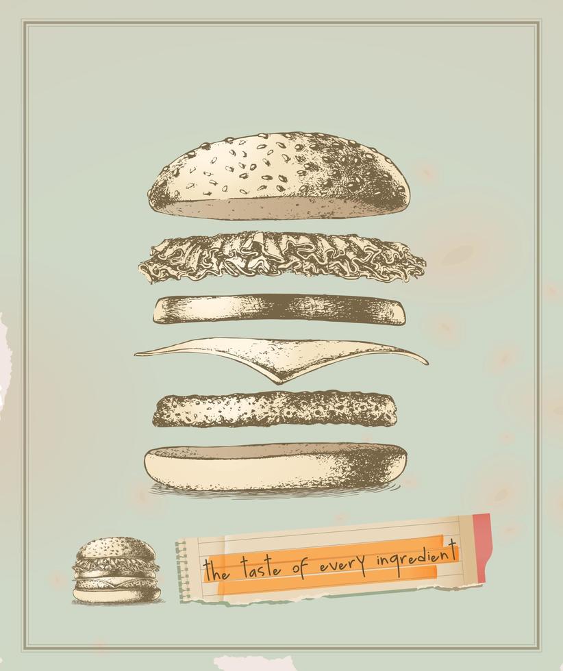 the taste of every ingredient - hamburger- drawing vector