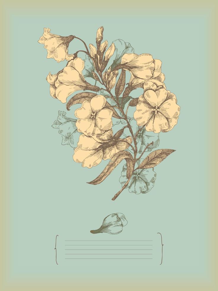 Retro flower drawing vector