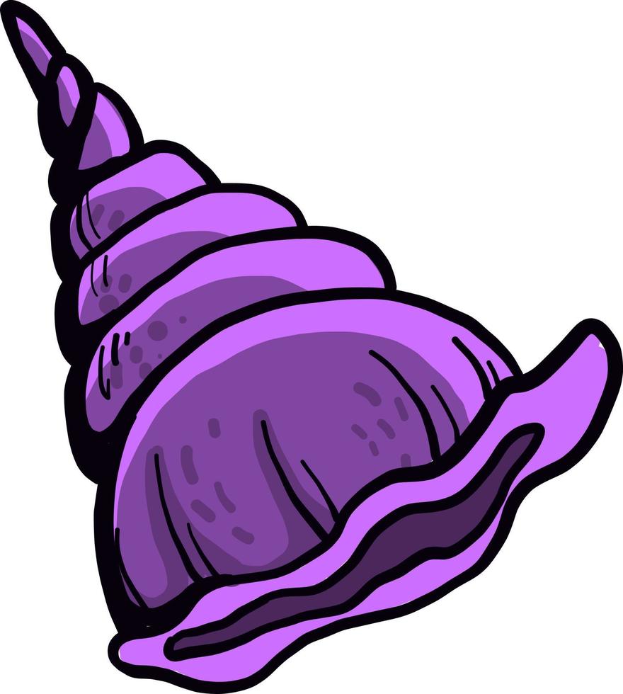 Violet shell, illustration, vector on white backgroundViolet shell, illustration, vector on white background