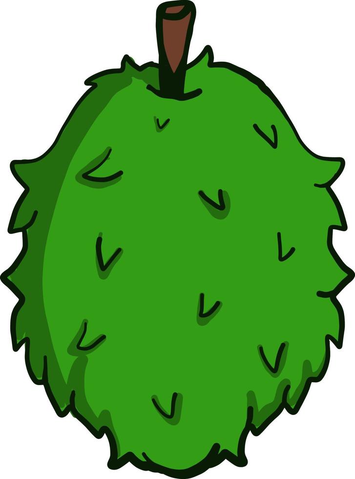 Fresh green soursop, illustration, vector on a white background.