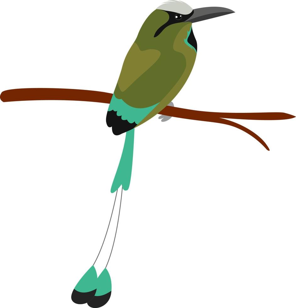 Green bird on a branch, illustration, vector on white background