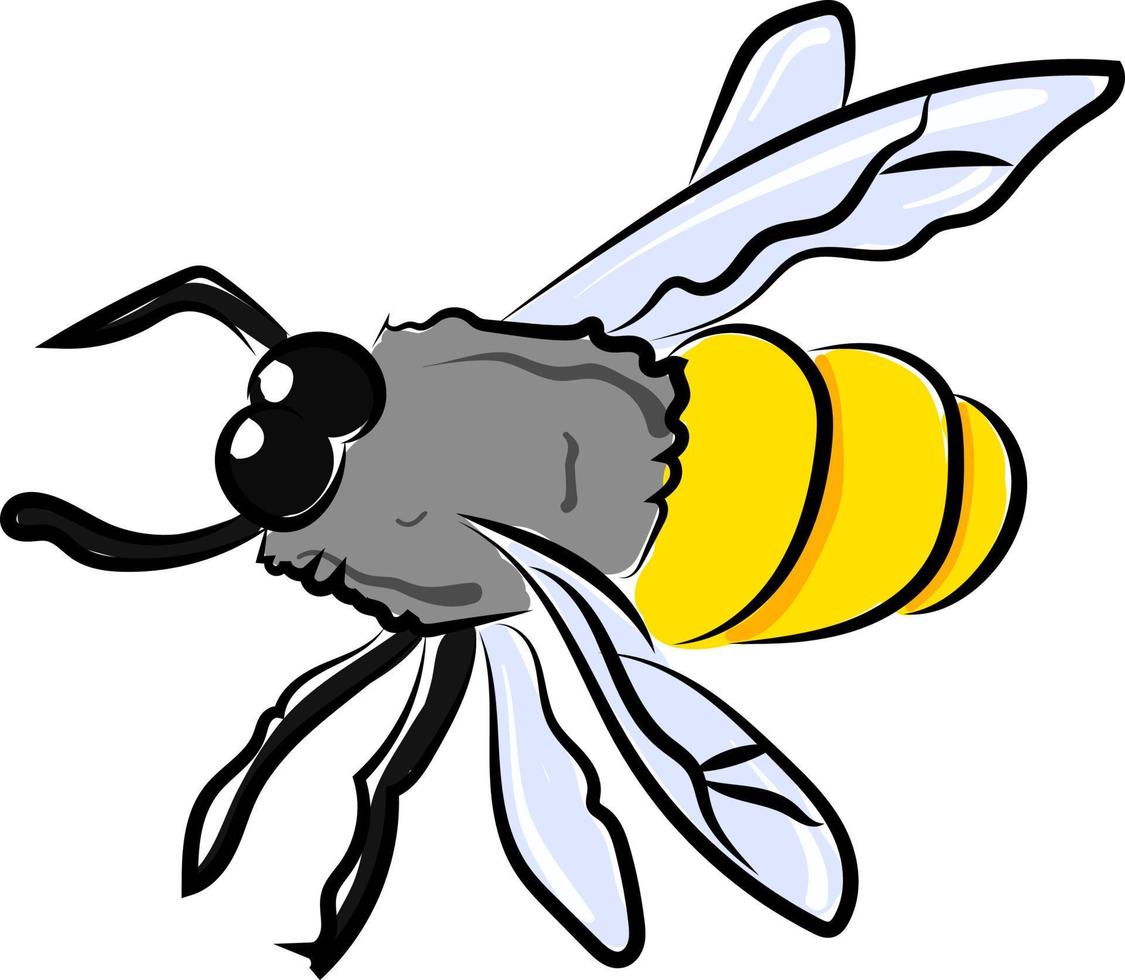 Dibujo de abeja, ilustración, vector sobre fondo blanco.