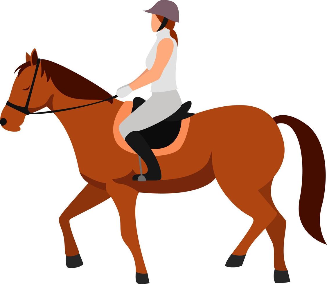 Horseback riding, illustration, vector on white background