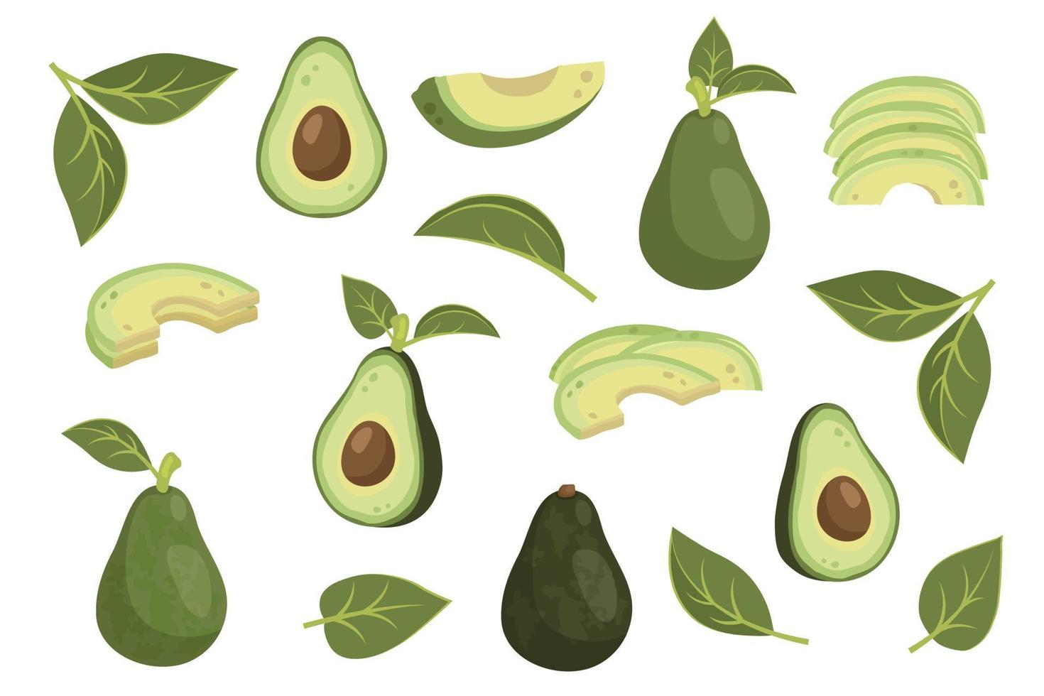 conjunto de aguacate entero en cáscara con hojas y aguacate en rodajas con hueso, carne. fruta de aguacate madura. comida orgánica vegetariana saludable. ilustración vectorial para un estilo de vida saludable y una buena nutrición vector