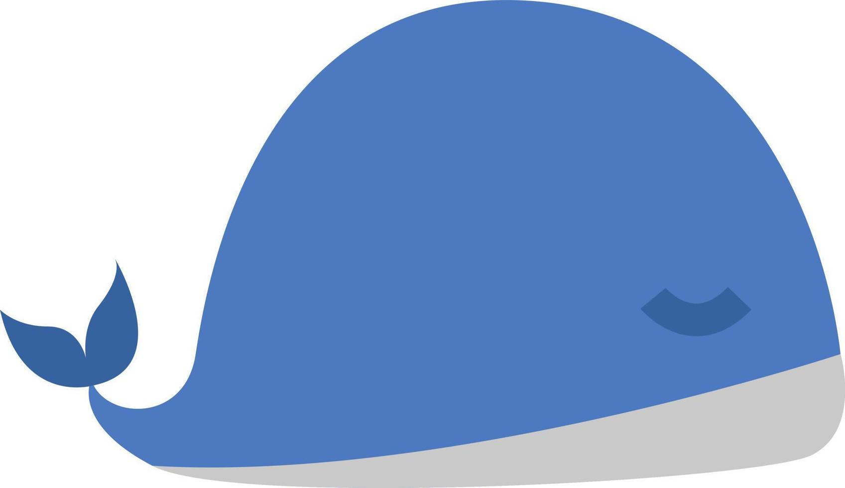 Blue sea whale, illustration, vector on a white background.