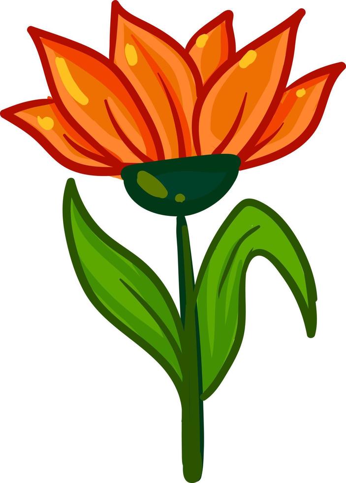 flor de naranja, ilustración, vector sobre fondo blanco