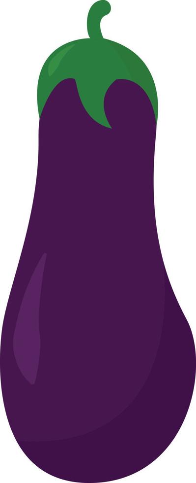 Purple eggplant, illustration, vector on white background.