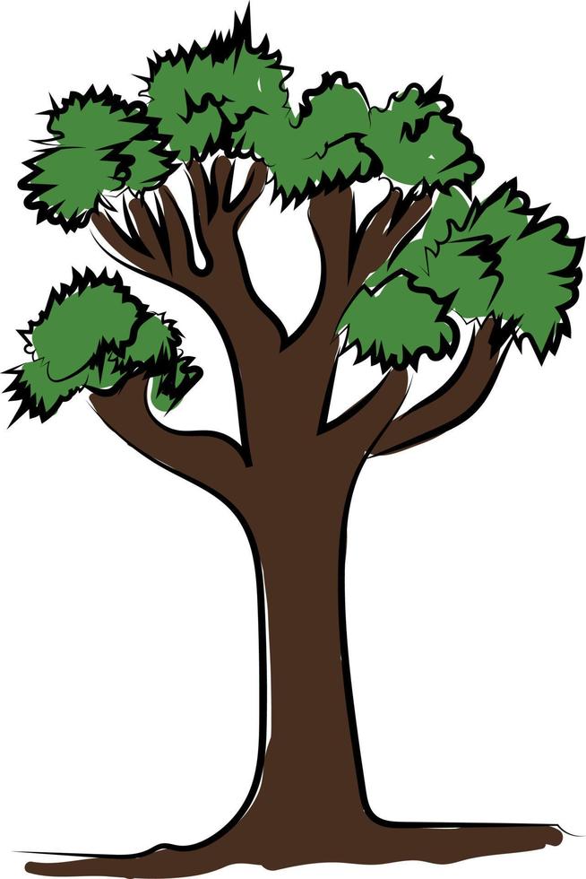 árbol alto con hojas verdes, ilustración, vector sobre fondo blanco.