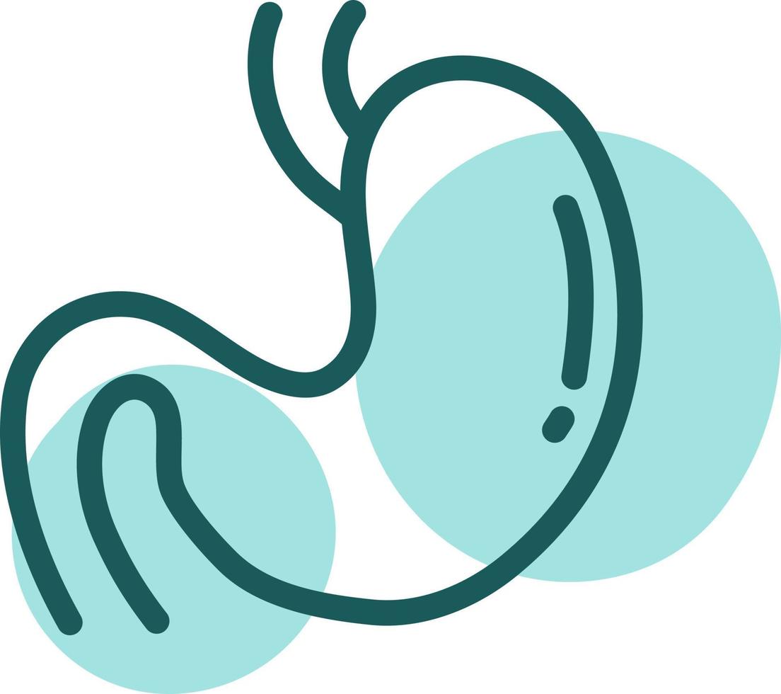 Blue stomach, illustration, vector on a white background.