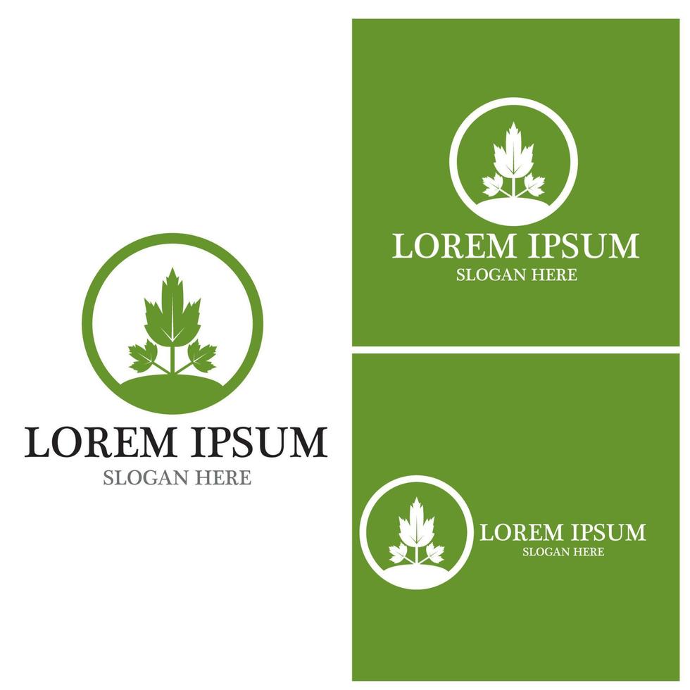 Nature leaf icon and symbol template vector