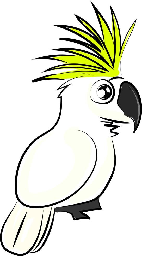 Pájaro cacatúa blanca, ilustración, vector sobre fondo blanco.