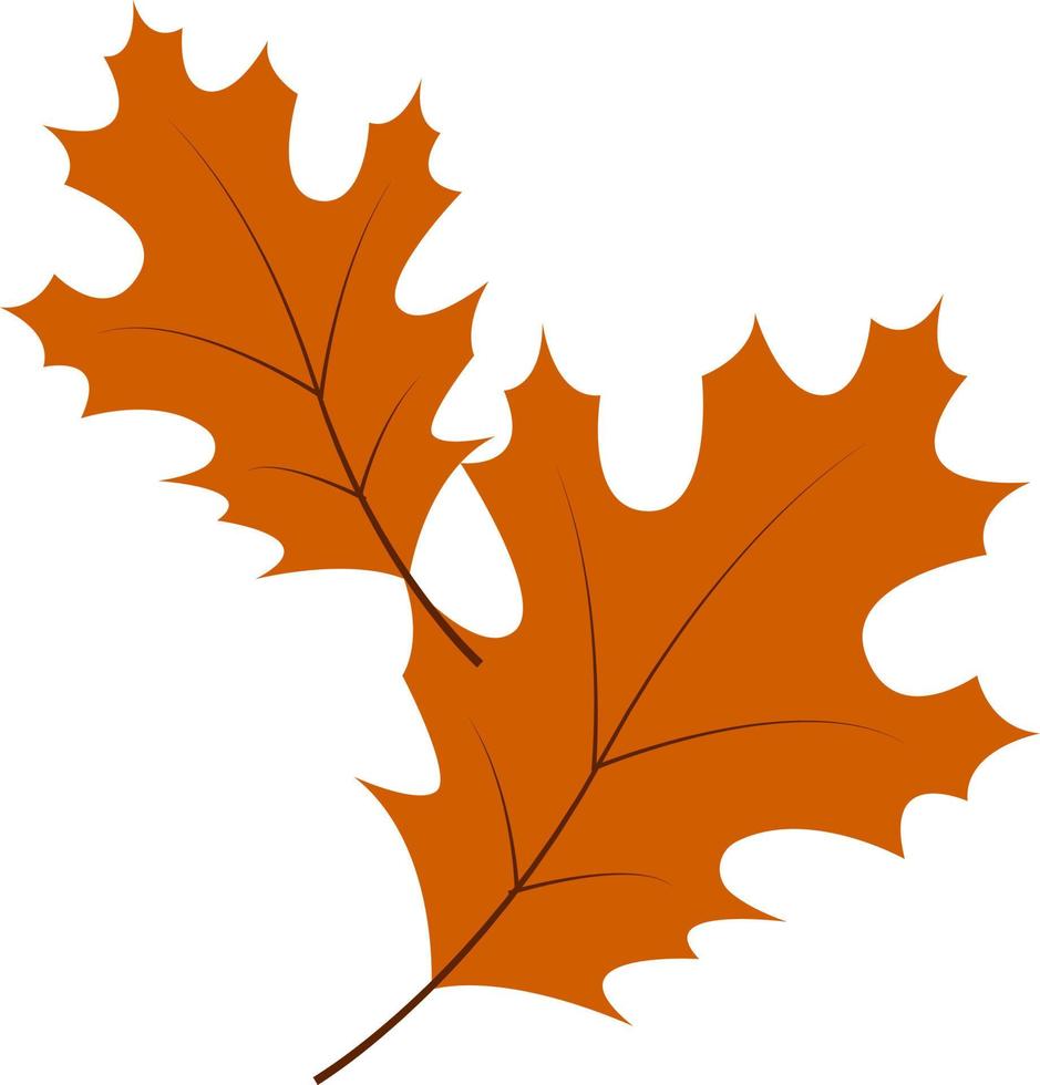 hojas de otoño, ilustración, vector sobre fondo blanco.