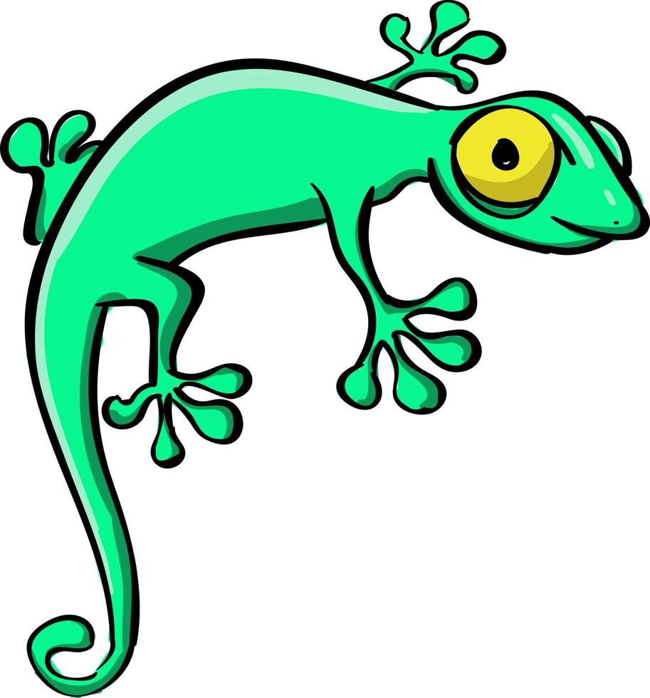 Green lizard, illustration, vector on white background.