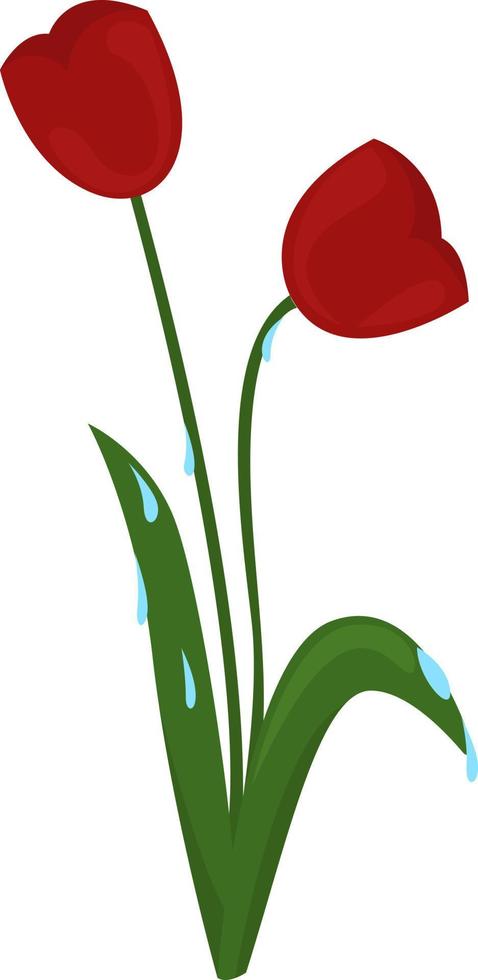 Morning dew, illustration, vector on white background