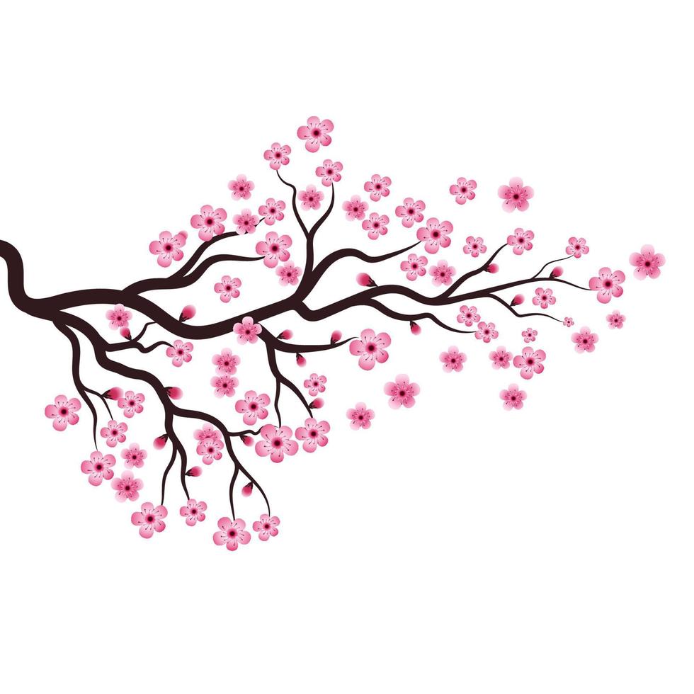 Sakura Beauty flower Vector icon