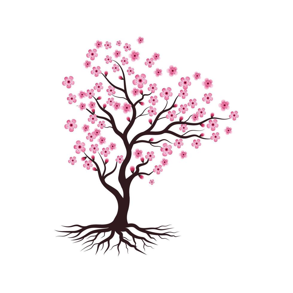 Sakura Beauty flower Vector icon