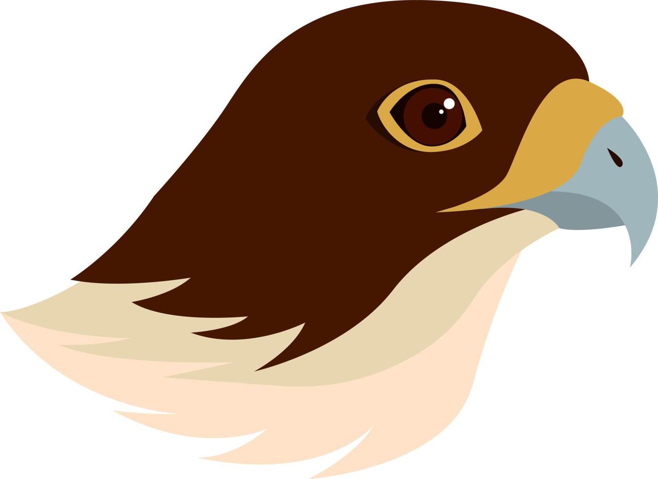 Falcon bird, illustration, vector on white background.