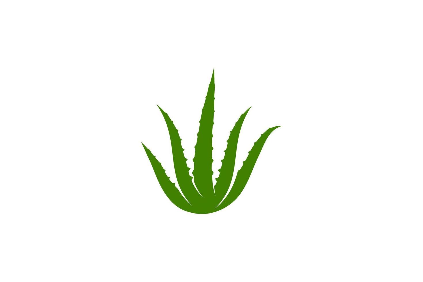 diseño de ilustración de vector de aloe vera