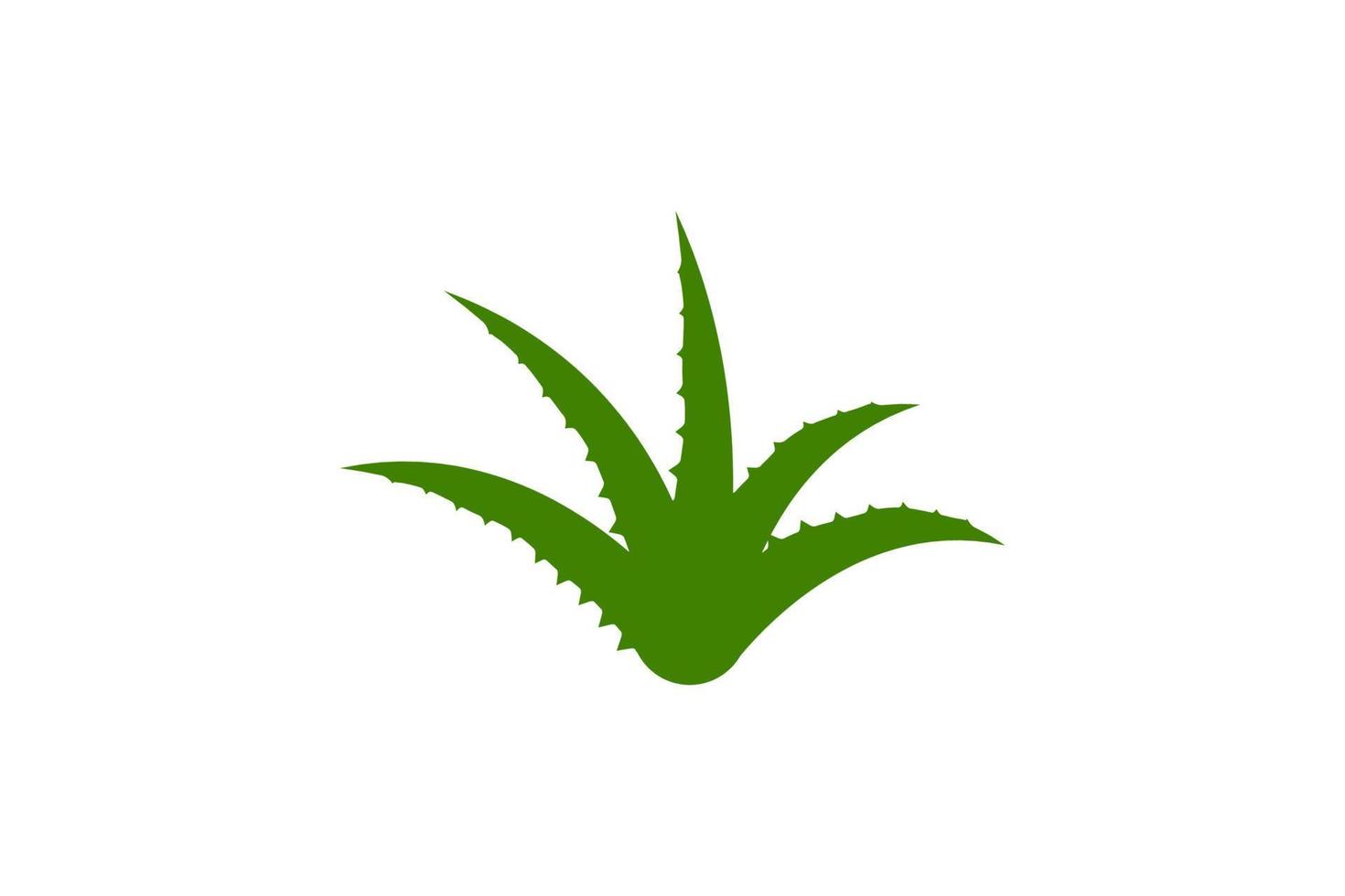 diseño de ilustración de vector de aloe vera