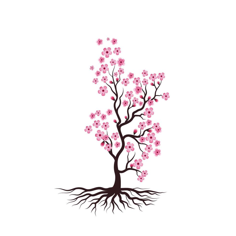 icono de vector de flor de belleza de sakura