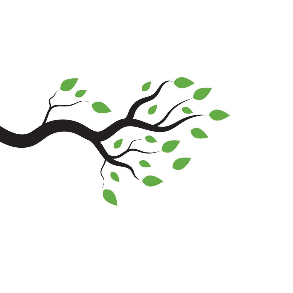 Tree branch vector ilustration design