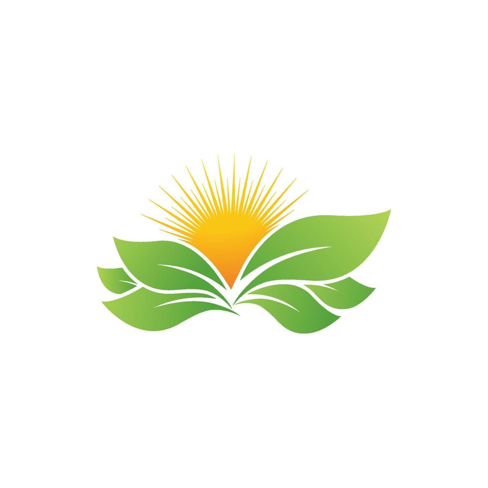 Green Tree leaf ecology nature element vector