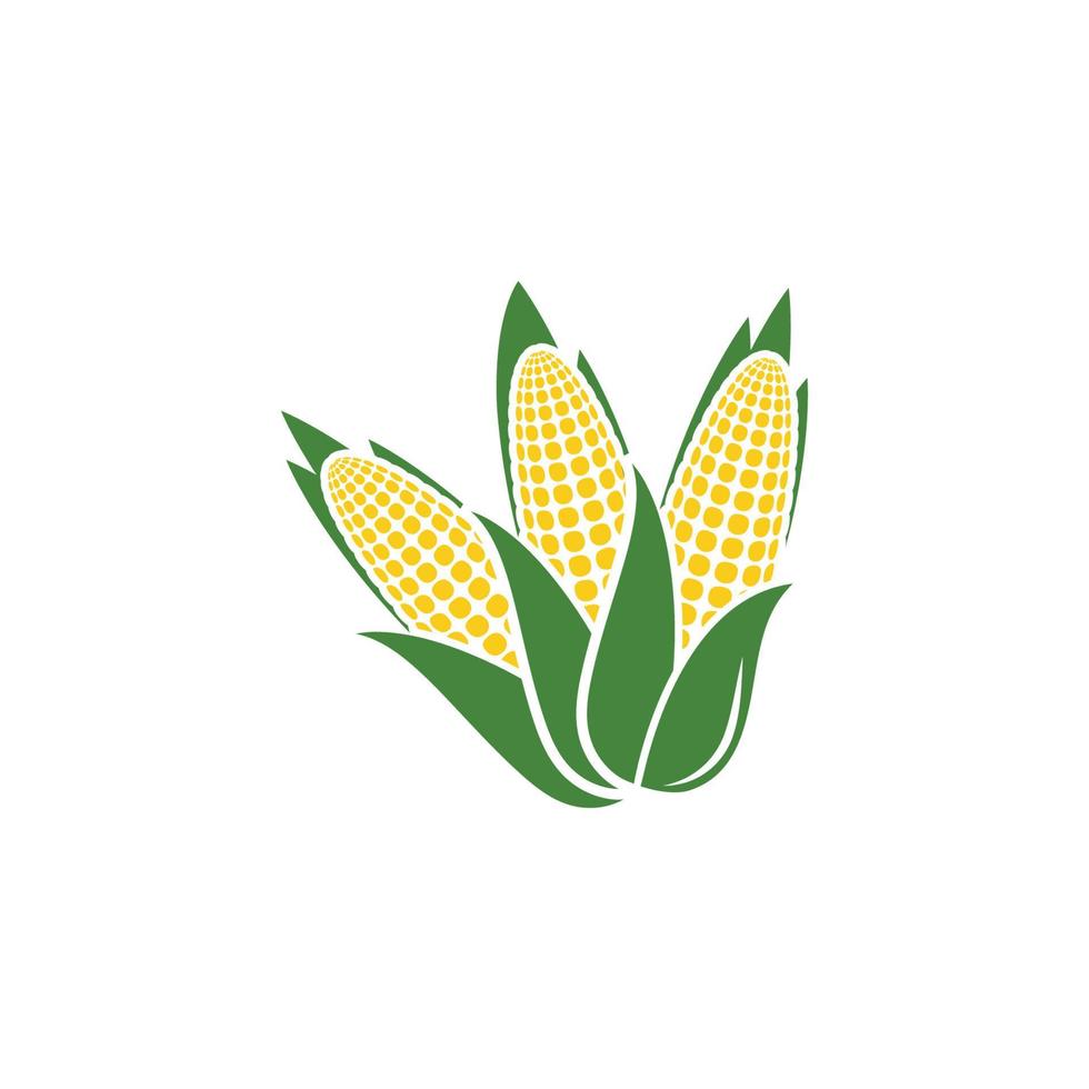 diseño de icono de vector de maíz de agricultura