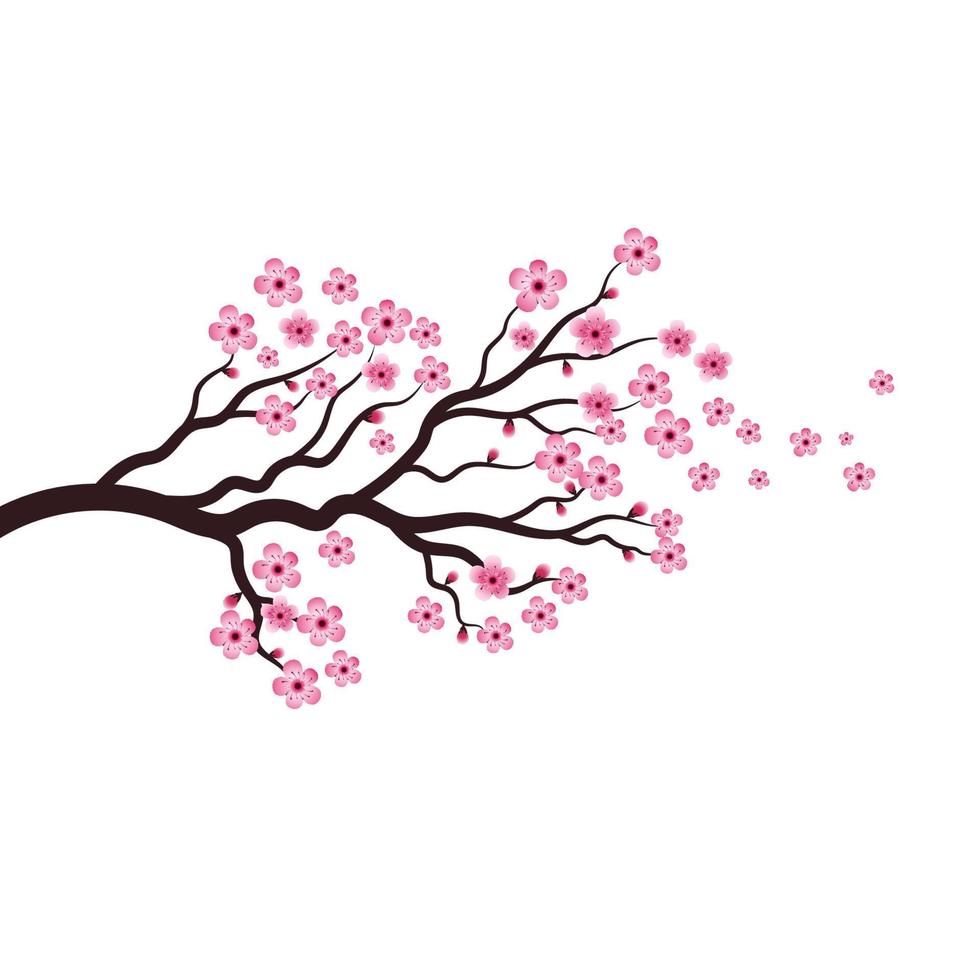 icono de vector de flor de belleza de sakura