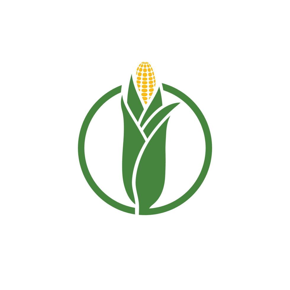 diseño de icono de vector de maíz de agricultura