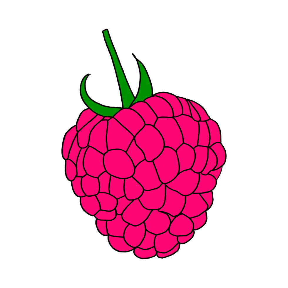 Single raspberry berry in color.Illustration in the Doodle style . Close-up drawing.Sweet dessert, summer berries. png