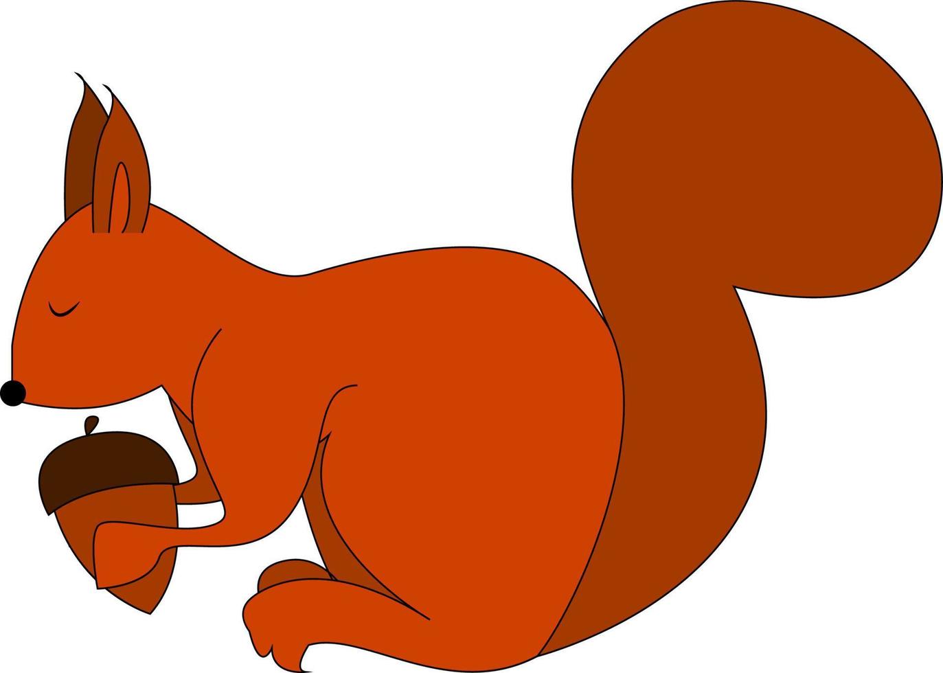 Squirrel with acorn nut, vector or color illustration.