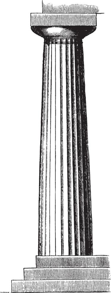 Doric Column from the Temple of Neptune at Paestum, pillar,  vintage engraving. vector