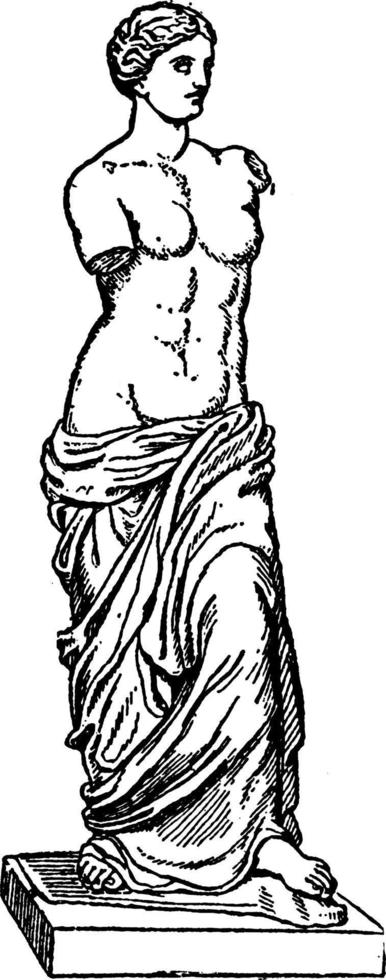 ilustración vintage de venus de milo. vector