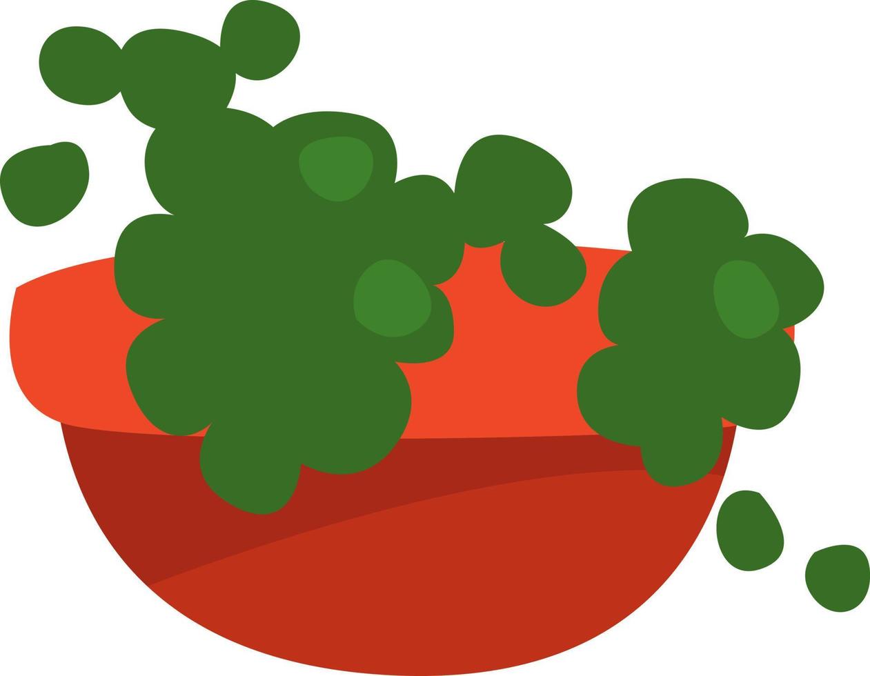 String of pearls plant, illustration, vector on a white background.