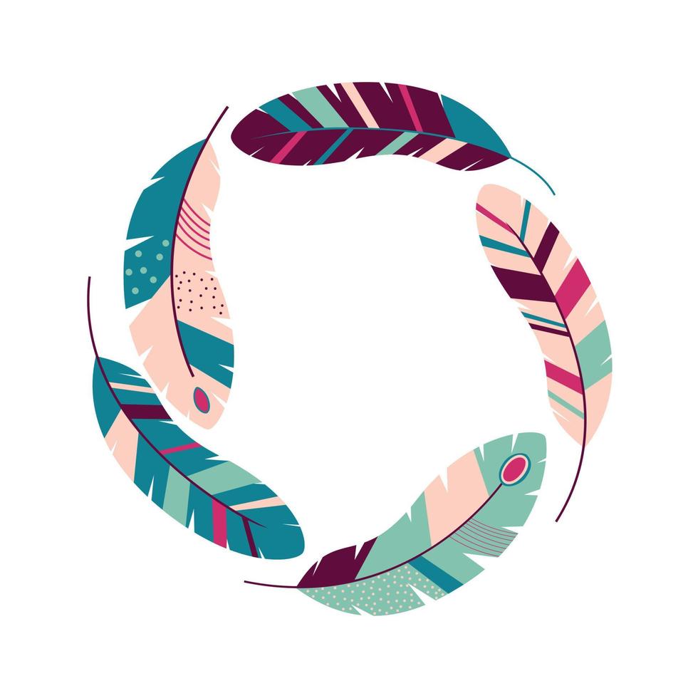 colorful feathers set vector