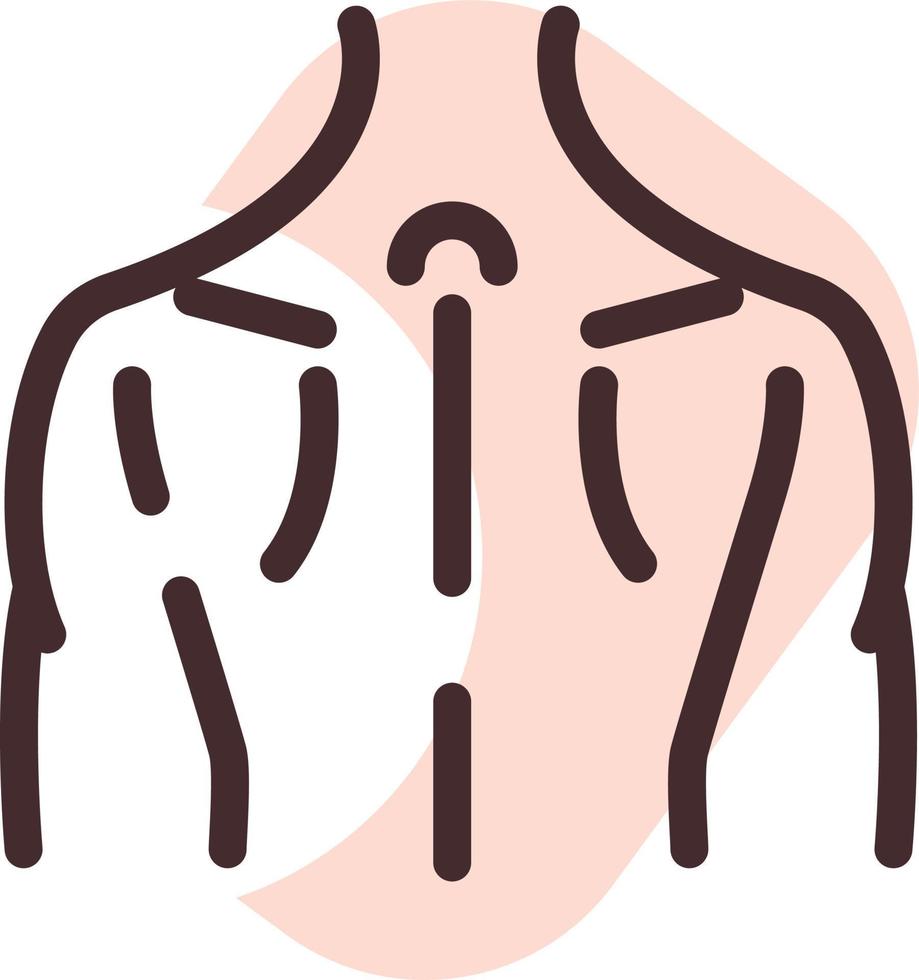 músculos de la espalda, ilustración, vector sobre fondo blanco.