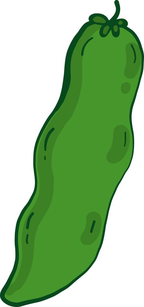 Small green bean, illustration, vector on a white background.