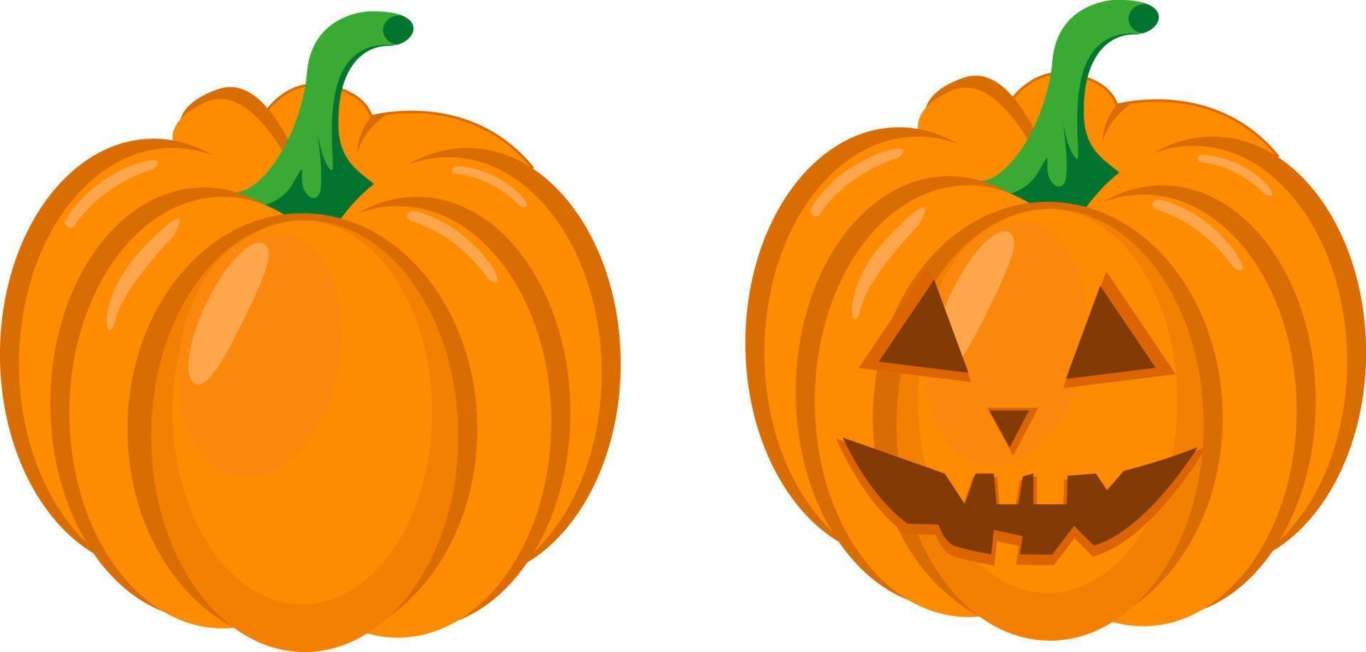calabaza de halloween, ilustración, vector sobre fondo blanco.
