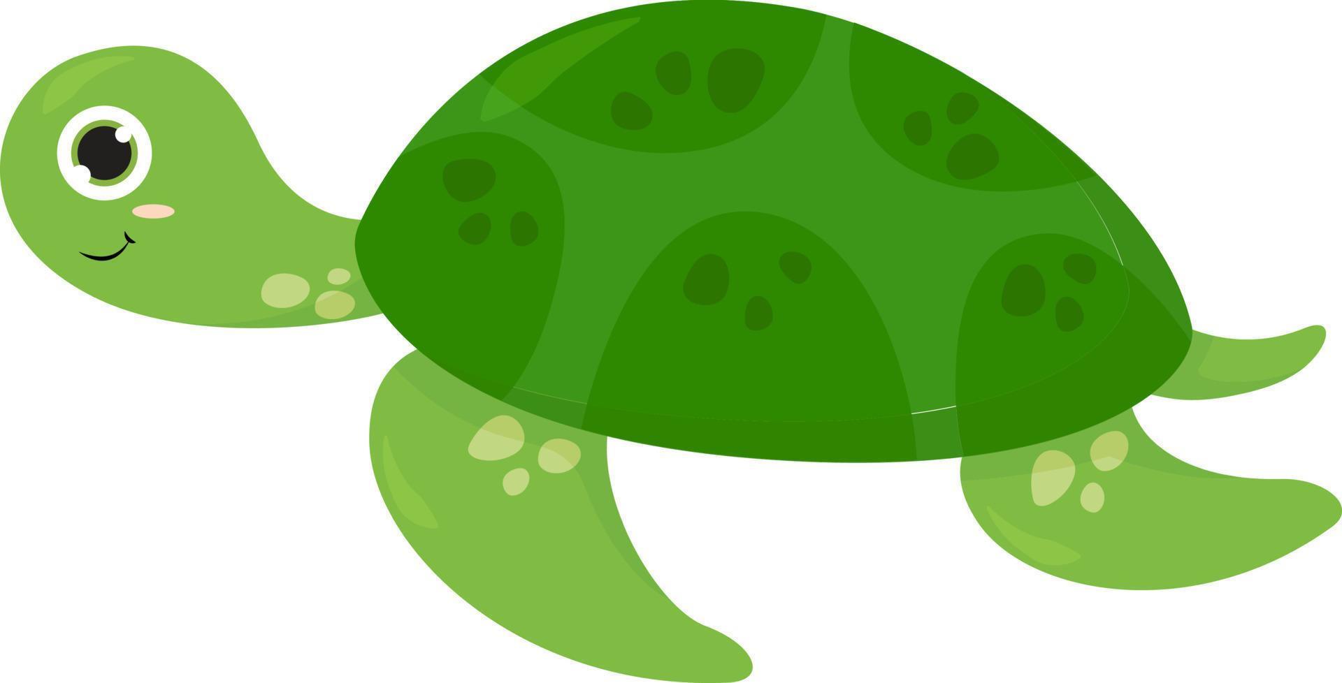 Very old turtle, illustration, vector on a white background.