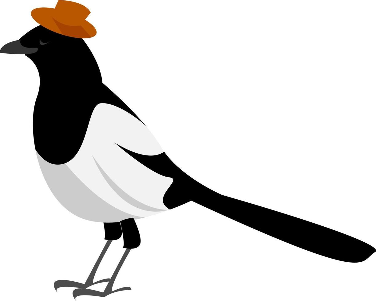 Magpie, illustration, vector on white background.