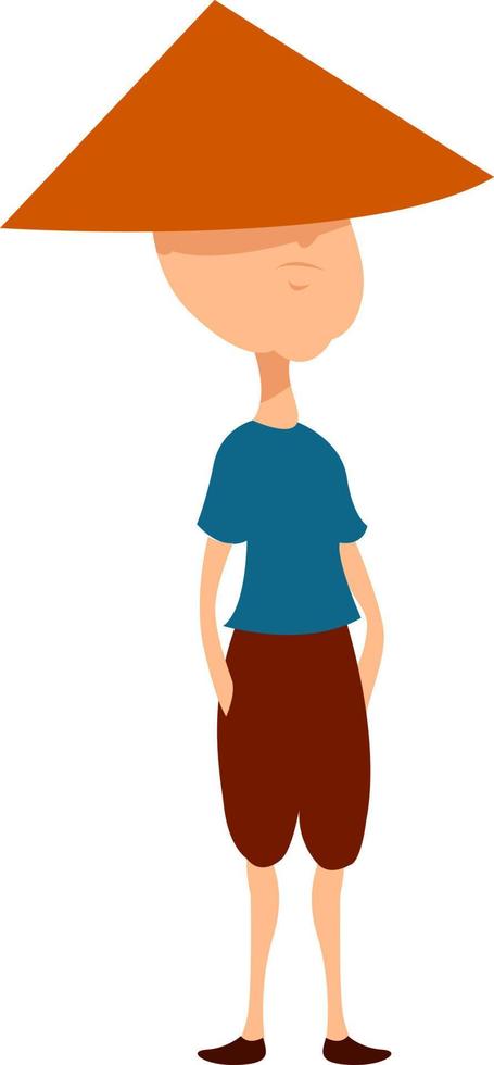 Vietnamese hat, illustration, vector on white background.