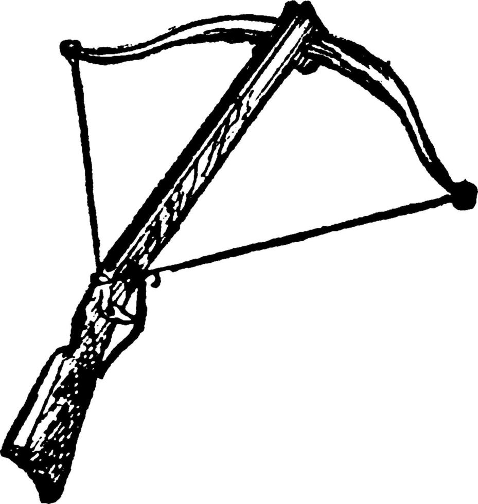 Cross-bow, vintage illustration. vector