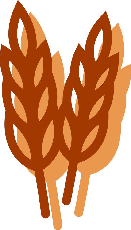 Dried wheat, illustration, vector on a white background