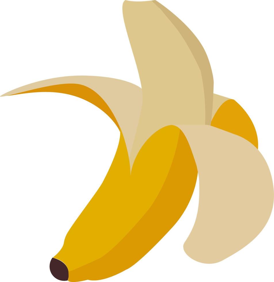 Banana, illustration, vector on white background.