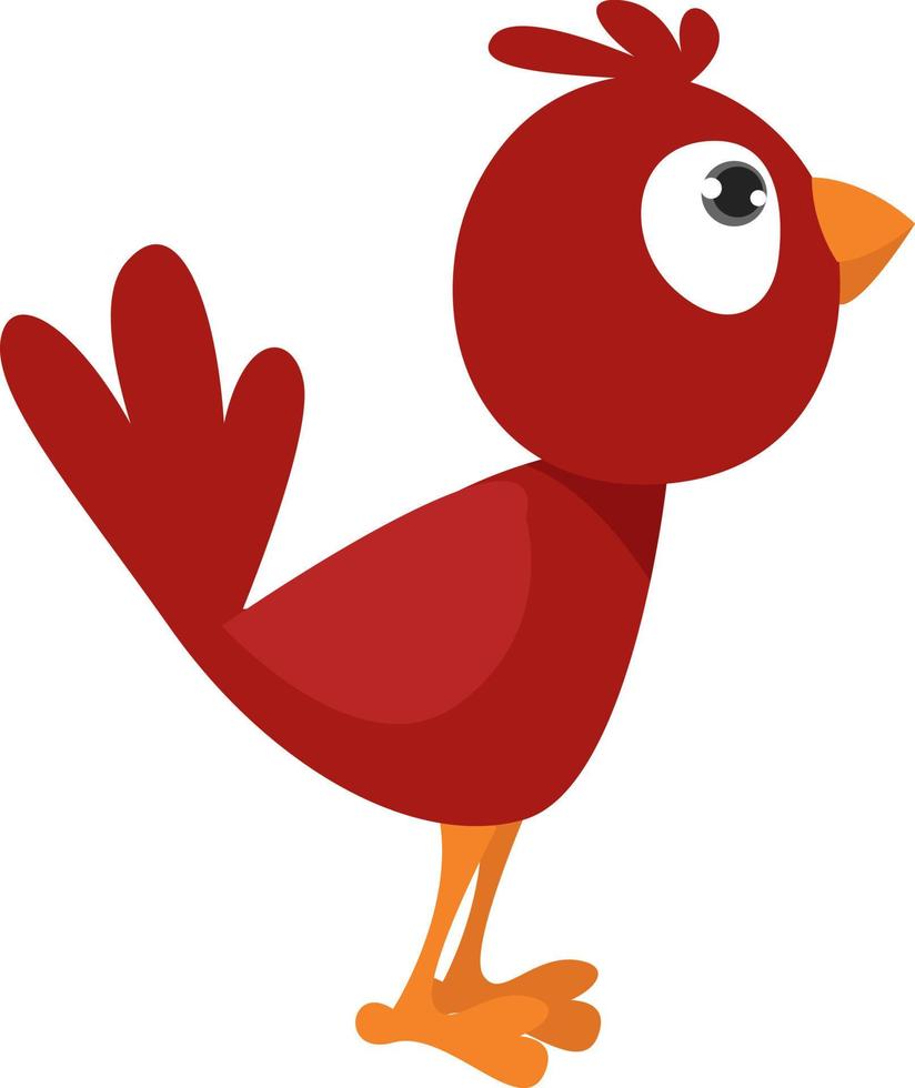 Red bird , illustration, vector on white background